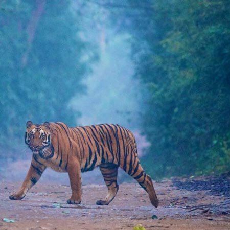 Shymbulak Ski Resort