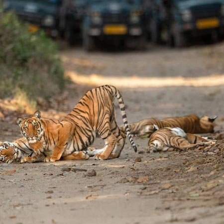 Shymbulak Ski Resort
