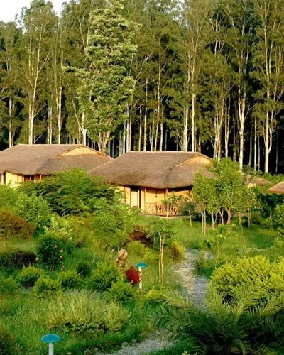 Best Kerala Tour Packages